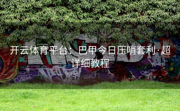 开云体育平台：巴甲今日压哨套利·超详细教程