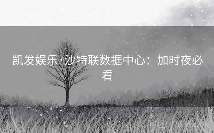 凯发娱乐·沙特联数据中心：加时夜必看